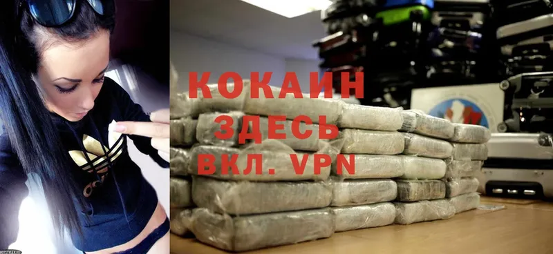 ссылка на мегу онион  Белореченск  Cocaine FishScale  сколько стоит 